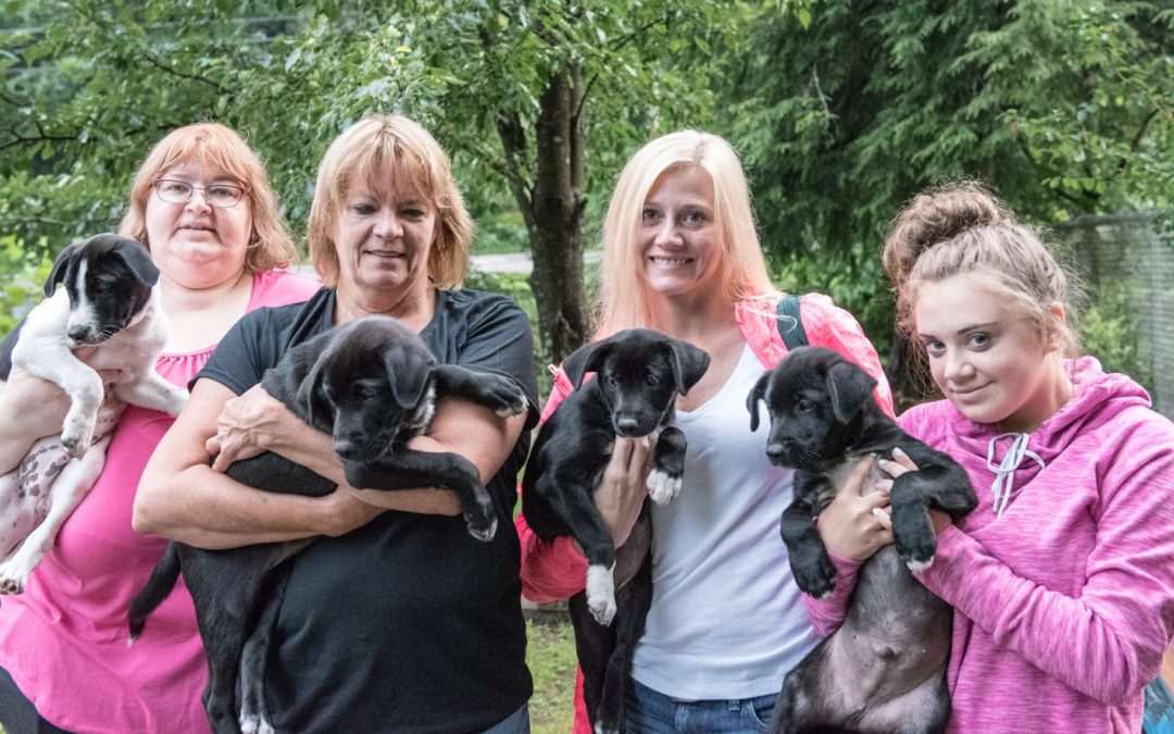 Transport – 7/7/17