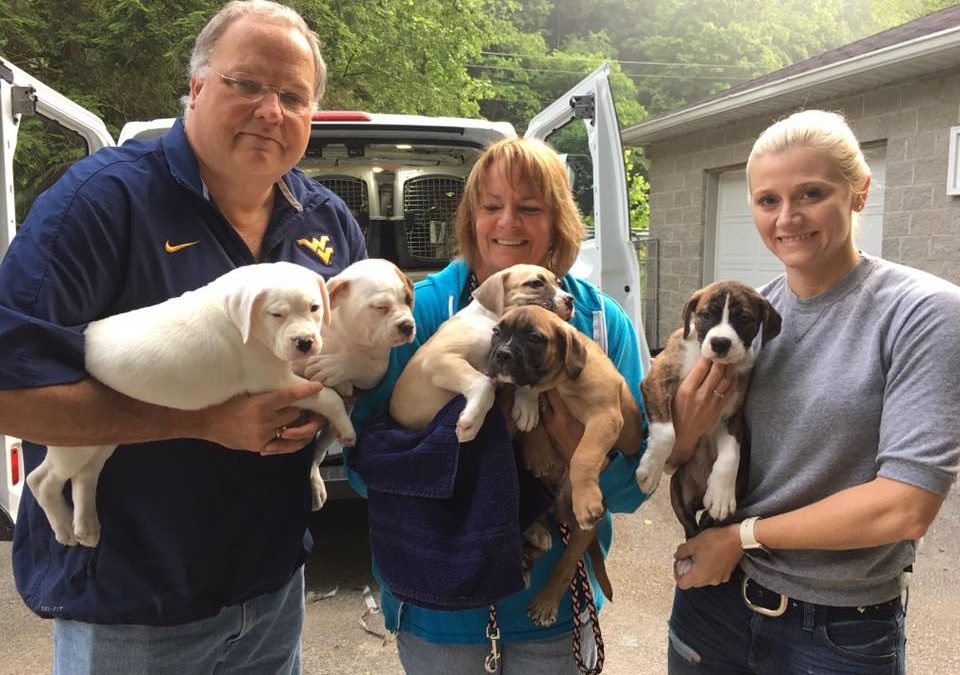 Transport – 6/9/17